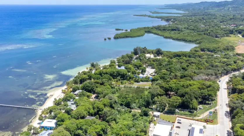 Aerial view of the Sandy Bay coastline and the reef