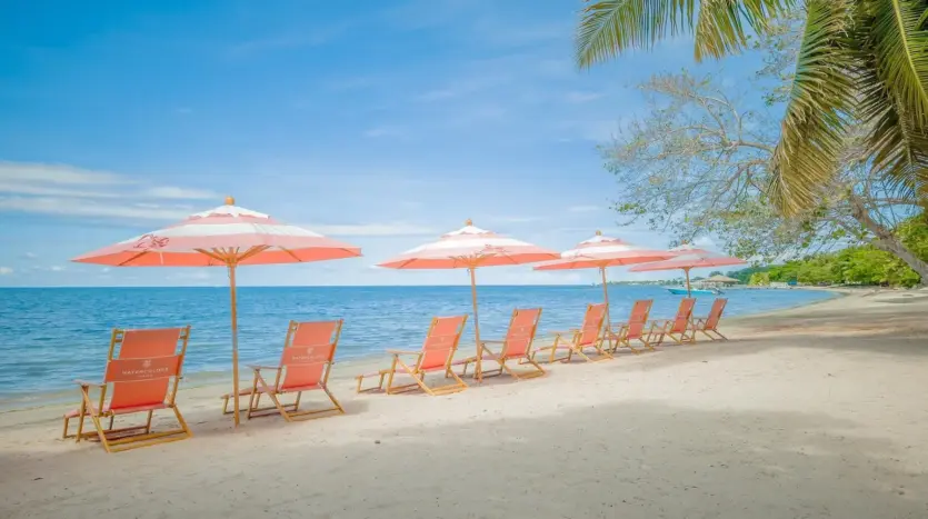Beach chairs and umbrellas on the sand