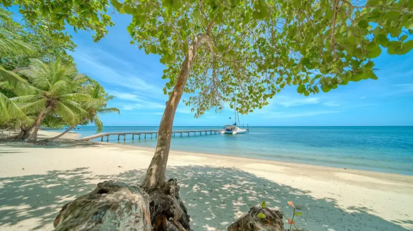 Watercolors beach and private pier